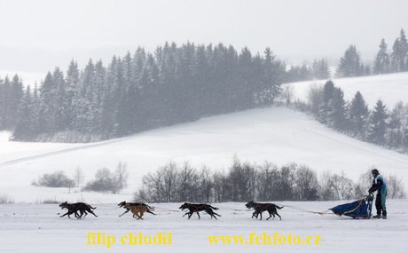 Tri studne zima 2009 - 0873.jpg